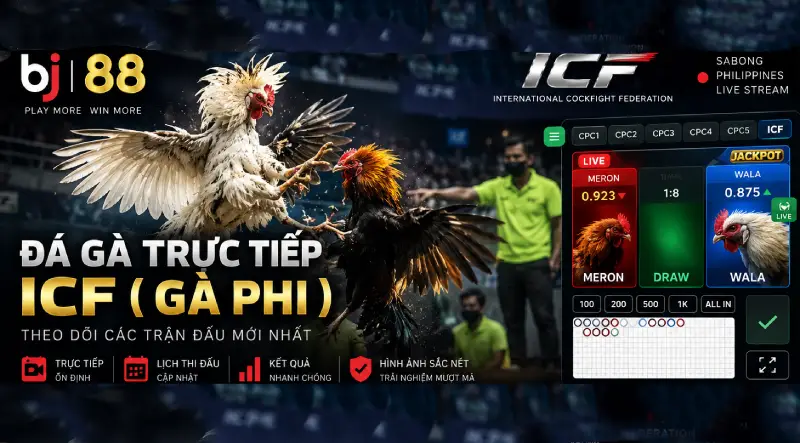 Đá Gà Trực Tiếp ICF