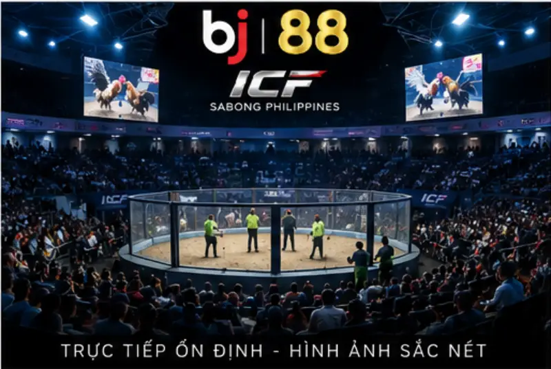 Trực Tiếp Ổn Định Sắc Nét