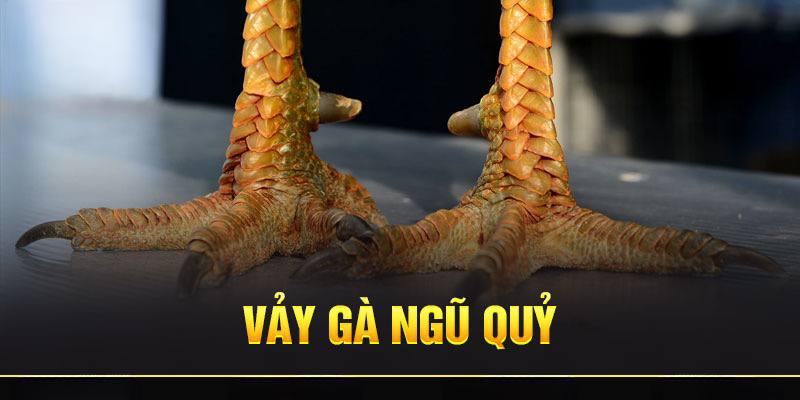 vảy gà quý trên chân gà nòi