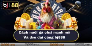 bj88 đá gà