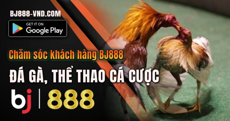Liên Hệ BJ888: Tiếp Cận Hỗ Trợ Dễ Dàng