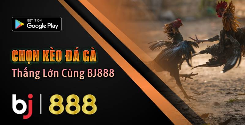 Chọn Kèo Đá Gà 2025_ Thắng Lớn Cùng BJ888