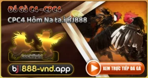 CPC4 Hôm Nay Tại nền tảng BJ888
