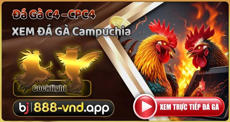 Đá gà C4 - CPC4