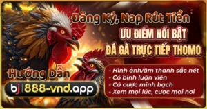Hướng Dẫn Rút Tiền BJ88