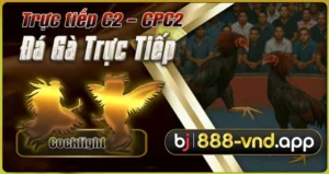 Trực tiếp đá gà C2 - CPC2