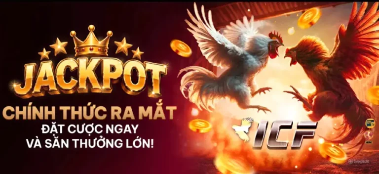 Đá gà BJ88 - Độc quyền CPC1 > CPC5 [ Trực Tiếp Mỗi Ngày ]
