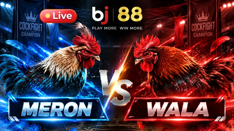 Nhà cái đá gà nổi tiểng - bj88